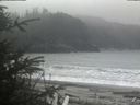 ./images/calvert/beach/20200410/beach20200410_151503.jpg