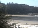 ./images/calvert/beach/20200411/beach20200411_114503.jpg
