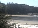 ./images/calvert/beach/20200411/beach20200411_115503.jpg