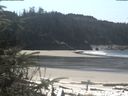 ./images/calvert/beach/20200411/beach20200411_125003.jpg