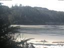 ./images/calvert/beach/20200412/beach20200412_100501.jpg