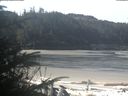 ./images/calvert/beach/20200412/beach20200412_101002.jpg