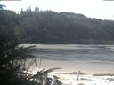 ./images/calvert/beach/20200412/beach20200412_101503.jpg
