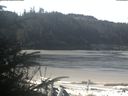 ./images/calvert/beach/20200412/beach20200412_102002.jpg