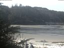 ./images/calvert/beach/20200412/beach20200412_104003.jpg