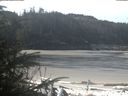 ./images/calvert/beach/20200412/beach20200412_105002.jpg