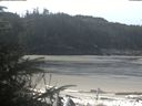 ./images/calvert/beach/20200412/beach20200412_105503.jpg