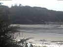 ./images/calvert/beach/20200412/beach20200412_110502.jpg