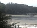 ./images/calvert/beach/20200412/beach20200412_111002.jpg