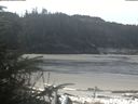 ./images/calvert/beach/20200412/beach20200412_111502.jpg