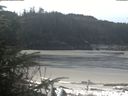 ./images/calvert/beach/20200412/beach20200412_112501.jpg
