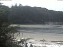 ./images/calvert/beach/20200412/beach20200412_113502.jpg