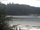 ./images/calvert/beach/20200412/beach20200412_114002.jpg