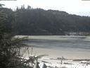 ./images/calvert/beach/20200412/beach20200412_114502.jpg