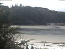 ./images/calvert/beach/20200412/beach20200412_115001.jpg