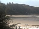 ./images/calvert/beach/20200413/beach20200413_111002.jpg