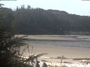 ./images/calvert/beach/20200413/beach20200413_111502.jpg