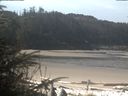 ./images/calvert/beach/20200413/beach20200413_112001.jpg