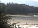 ./images/calvert/beach/20200413/beach20200413_112501.jpg