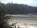./images/calvert/beach/20200413/beach20200413_113502.jpg