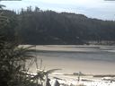 ./images/calvert/beach/20200413/beach20200413_114503.jpg