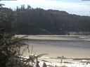 ./images/calvert/beach/20200413/beach20200413_115003.jpg