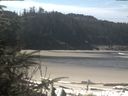 ./images/calvert/beach/20200413/beach20200413_115502.jpg