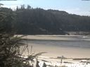 ./images/calvert/beach/20200413/beach20200413_120502.jpg