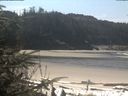 ./images/calvert/beach/20200413/beach20200413_121002.jpg