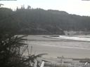 ./images/calvert/beach/20200413/beach20200413_150502.jpg