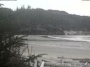 ./images/calvert/beach/20200413/beach20200413_151002.jpg