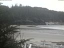 ./images/calvert/beach/20200413/beach20200413_151502.jpg