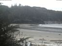 ./images/calvert/beach/20200414/beach20200414_103501.jpg