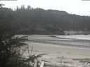 ./images/calvert/beach/20200414/beach20200414_110503.jpg