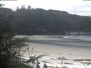 ./images/calvert/beach/20200414/beach20200414_113503.jpg