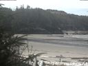 ./images/calvert/beach/20200414/beach20200414_115502.jpg