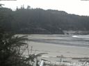 ./images/calvert/beach/20200414/beach20200414_121002.jpg