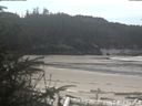 ./images/calvert/beach/20200414/beach20200414_122502.jpg