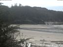 ./images/calvert/beach/20200414/beach20200414_123502.jpg