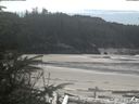 ./images/calvert/beach/20200414/beach20200414_133502.jpg