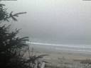 ./images/calvert/beach/20200415/beach20200415_062002.jpg