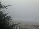./images/calvert/beach/20200415/beach20200415_063502.jpg