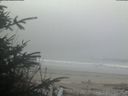 ./images/calvert/beach/20200415/beach20200415_075503.jpg