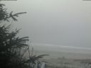 ./images/calvert/beach/20200415/beach20200415_080003.jpg