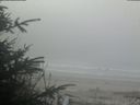 ./images/calvert/beach/20200415/beach20200415_080503.jpg