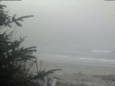 ./images/calvert/beach/20200415/beach20200415_081002.jpg