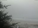 ./images/calvert/beach/20200415/beach20200415_082002.jpg
