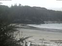 ./images/calvert/beach/20200415/beach20200415_111003.jpg