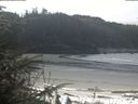 ./images/calvert/beach/20200415/beach20200415_114003.jpg