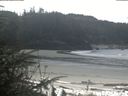 ./images/calvert/beach/20200415/beach20200415_114503.jpg